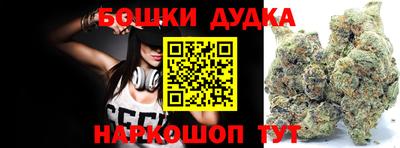 МДПВ Моздок