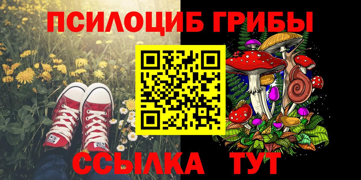 Псилоцибиновые грибы MAGIC MUSHROOMS Тула