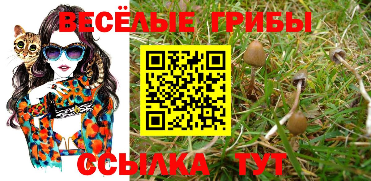 Галлюциногенные грибы MAGIC MUSHROOMS  Вход с VPN  наркота  Тула  Галлюциногенные грибы мицелий 